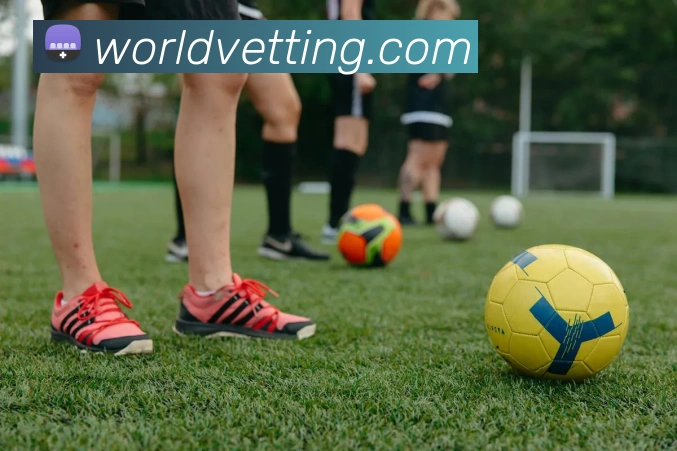 开云平台生态图